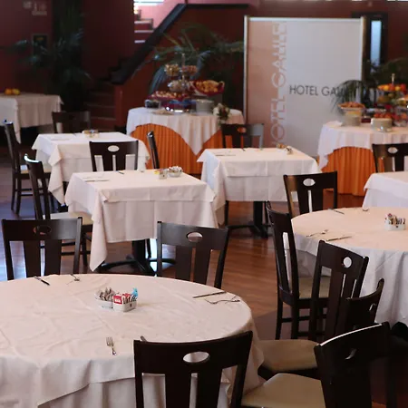 골든 튤립 갈릴레이 - 호텔