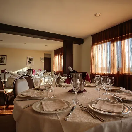 골든 튤립 갈릴레이 - 피사