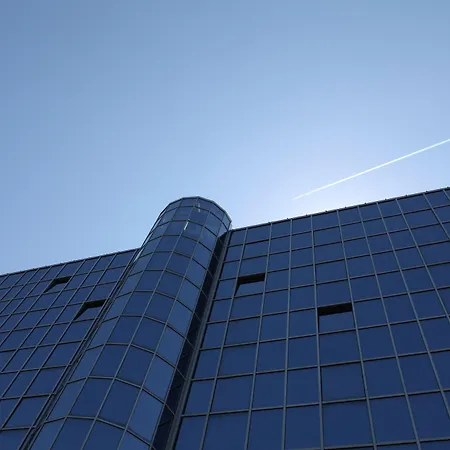 골든 튤립 갈릴레이 - 피사