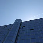 골든 튤립 갈릴레이 - 피사